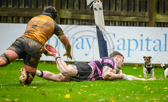 Ayr v Currie