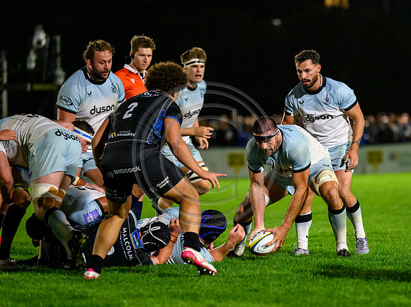 Glasgow Warriors v Bath