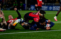 Edinburgh v Sharks