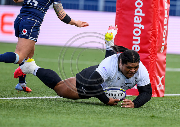 Scotland v New Zealand