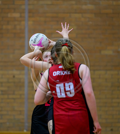 Netball District Finals