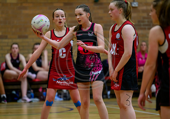 Netball District Finals