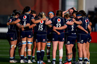 Scotland v New Zealand