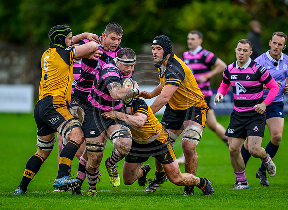 Ayr v Currie