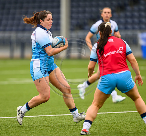 Scotland captains Run
