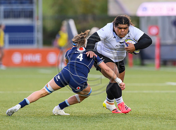 Scotland v Black Ferns