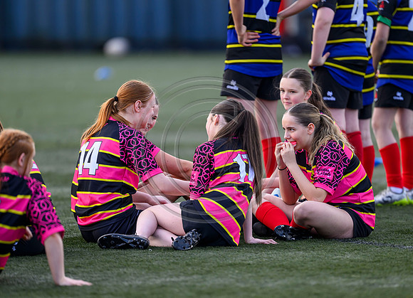 SP Energy Networks Warriors Championships Semi Final