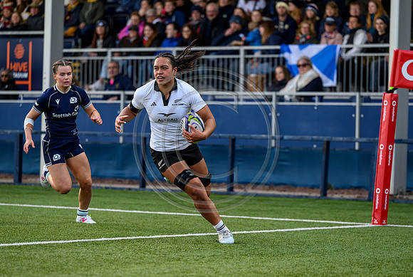 Scotland v Black Ferns