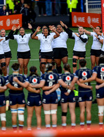 Scotland v New Zealand