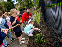 Planting Roots campaign