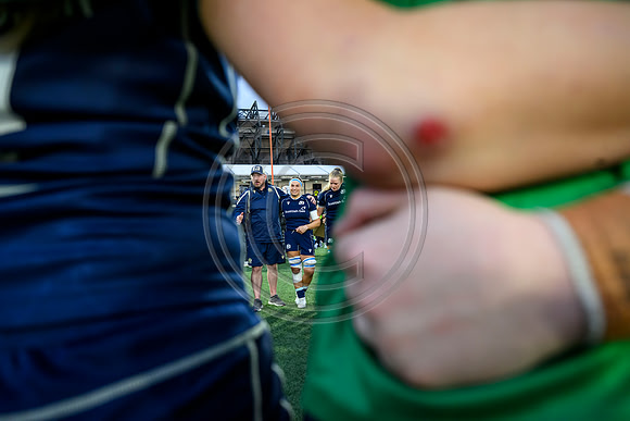 Scotland v New Zealand
