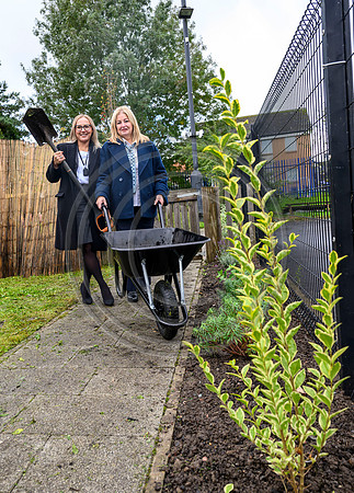 Planting Roots campaign