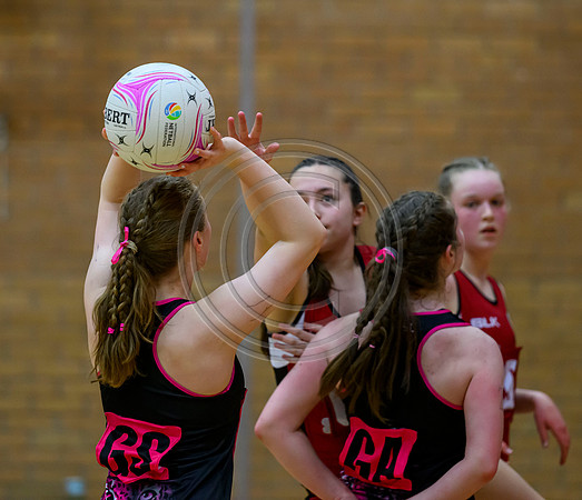 Netball District Finals