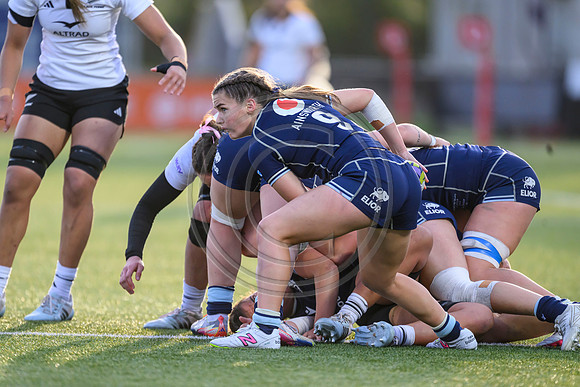 Scotland v New Zealand