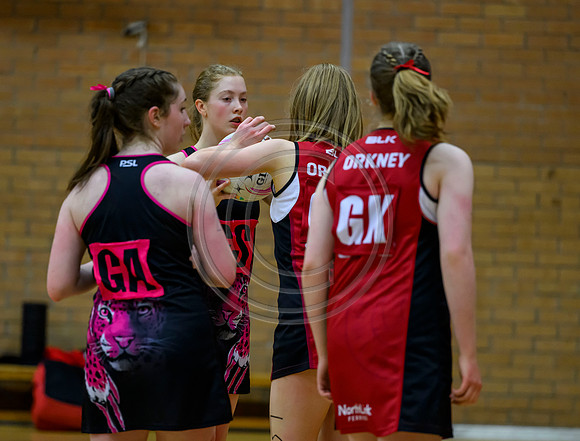 Netball District Finals