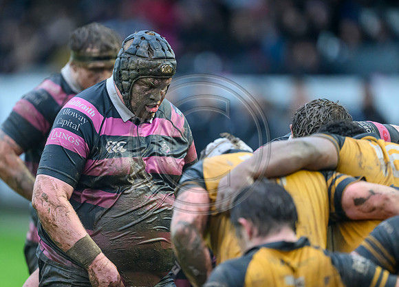 Ayr v Currie