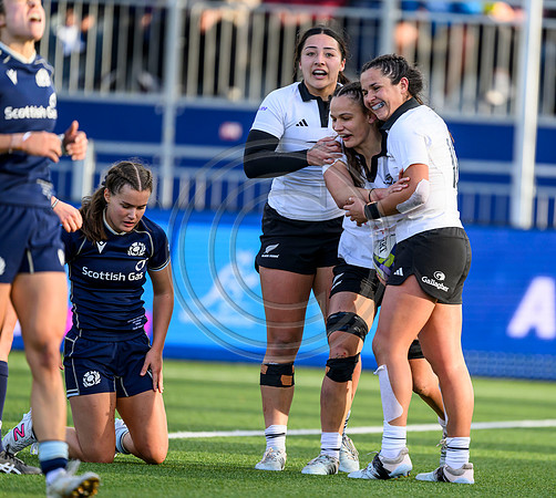 Scotland v New Zealand
