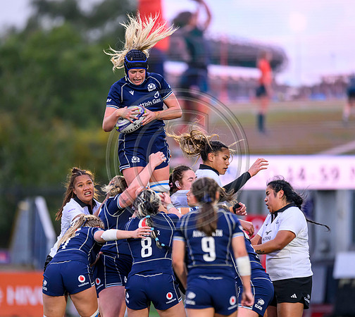 Scotland v New Zealand