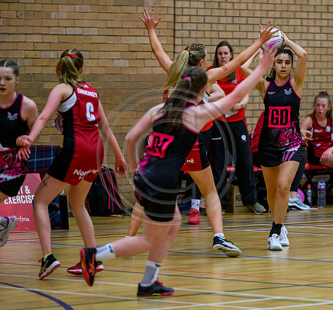 Netball District Finals