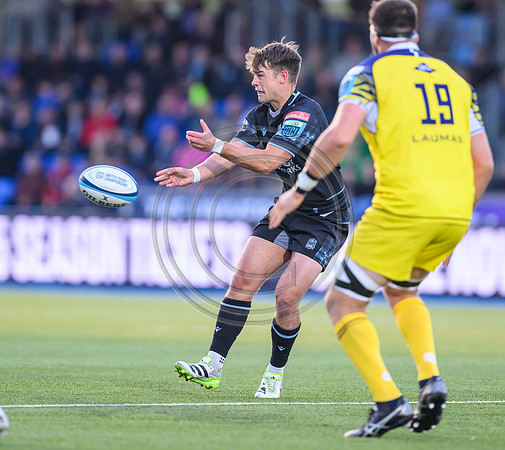 Warriors v Zebre