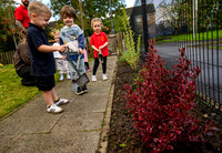 Planting Roots campaign