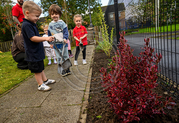 Planting Roots campaign