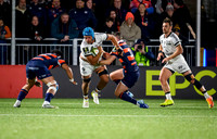 Edinburgh v Toulon