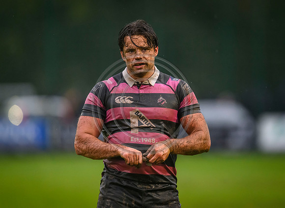 Ayr v Currie