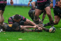 Ayr v Currie