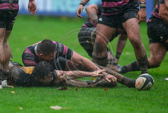 Ayr v Currie
