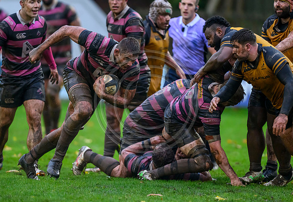 Ayr v Currie