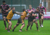Ayr v Currie