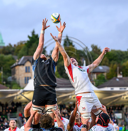 Warriors v Ulster