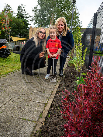 Planting Roots campaign