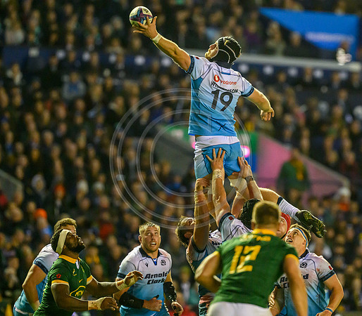 Scotland v South Africa