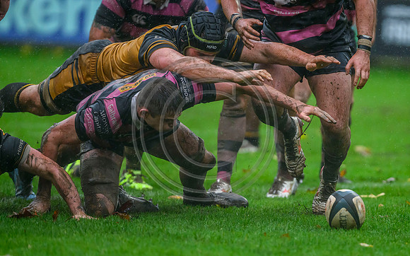 Ayr v Currie