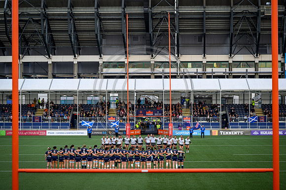Scotland v New Zealand