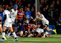 Edinburgh v Toulon