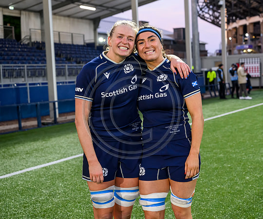 Scotland v New Zealand