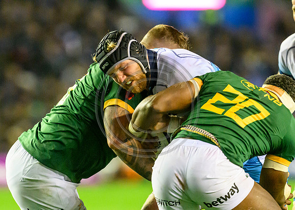 Scotland v South Africa