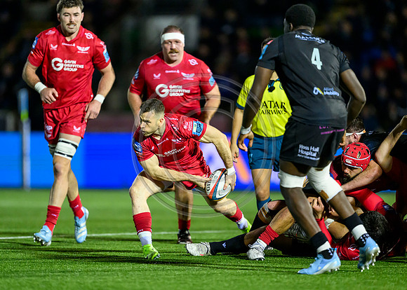 Warriors v Scarlets