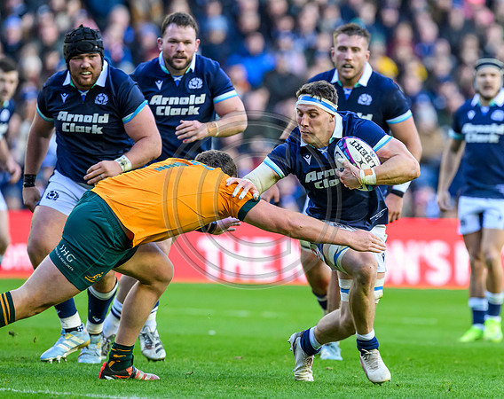 Scotland v Australia