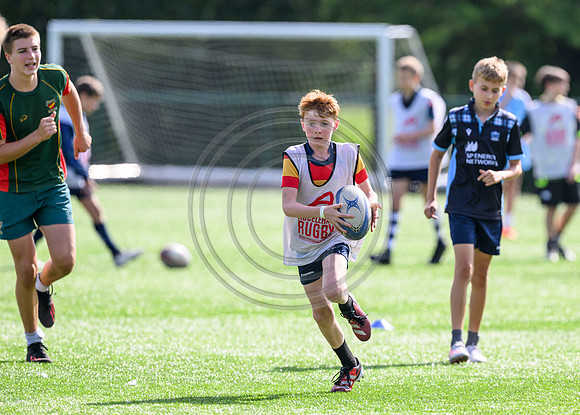 Accelerate Rugby