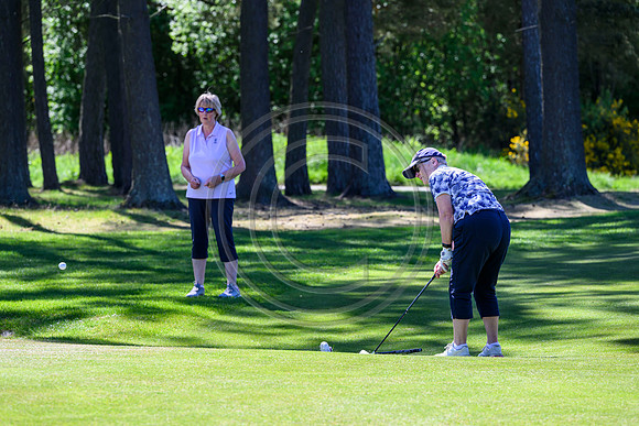 McCreas Golf day 2