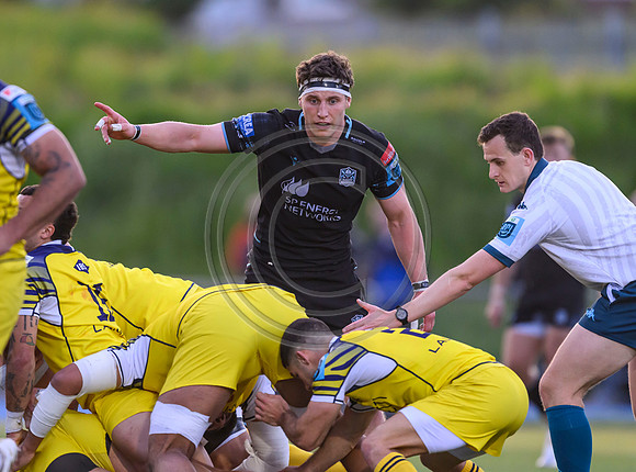 Warriors v Zebre