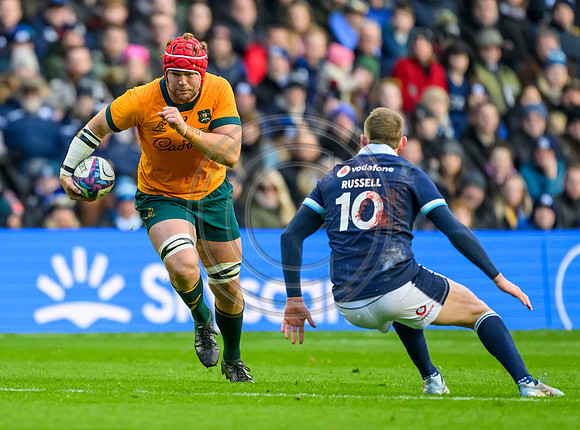 Scotland v Australia