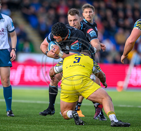 Warriors v Zebre
