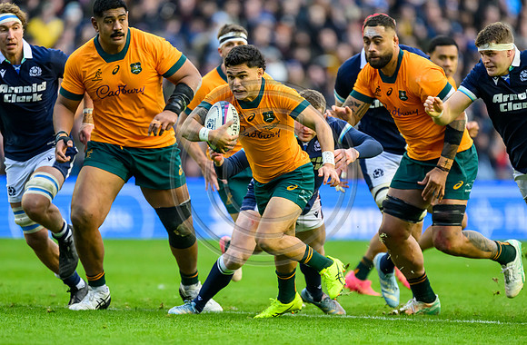 Scotland v Australia