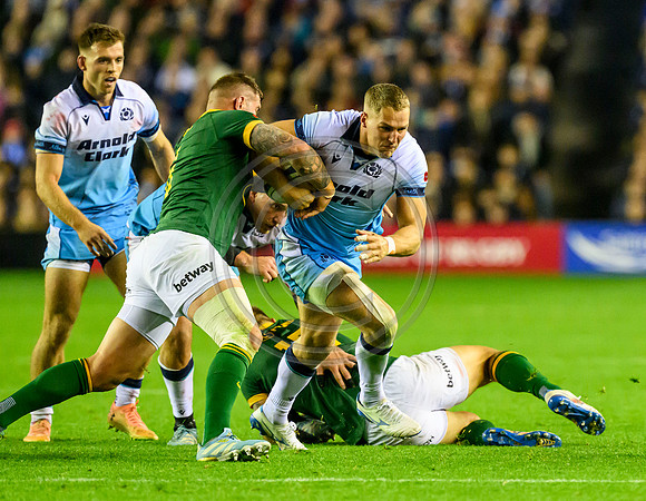 Scotland v South Africa
