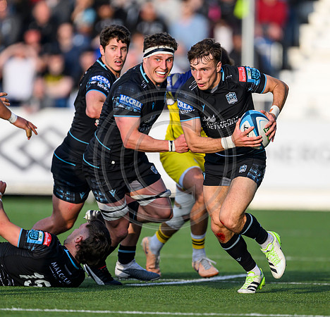 Warriors v Zebre